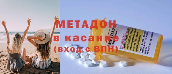хмурый Аркадак