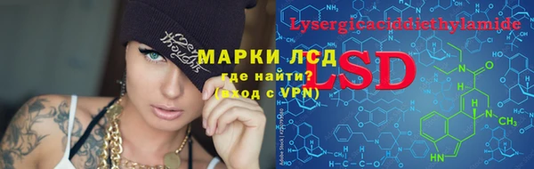 хмурый Аркадак