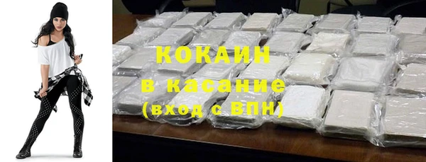хмурый Аркадак