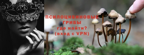 PSILOCYBIN Балабаново