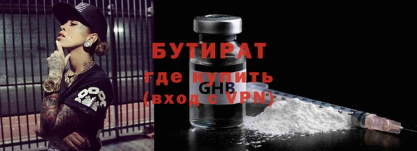 хмурый Аркадак