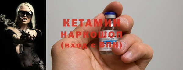 хмурый Аркадак