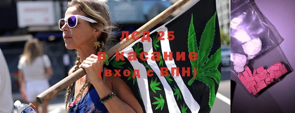 хмурый Аркадак